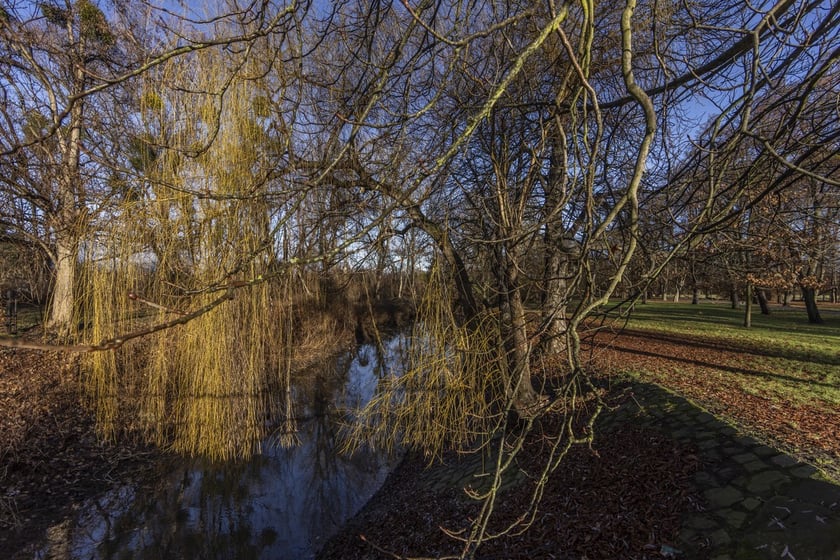 Park Wschodni na osiedlu Księże