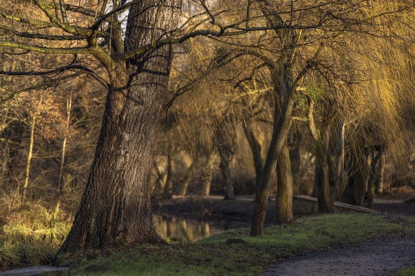 Park Wschodni na osiedlu Księże