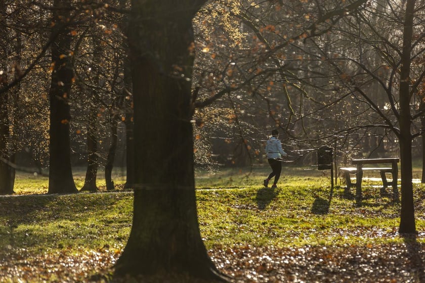 Park Wschodni na osiedlu Księże