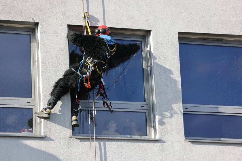 Akcja "Alpiniści dla WOŚP" w Dolnośląskim Szpitalu Specjalistycznym im. T. Marciniaka we Wrocławiu