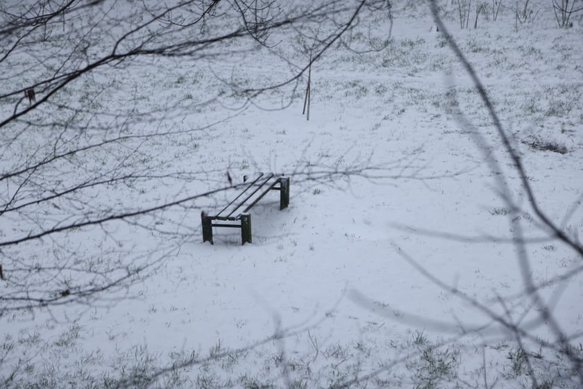 Na zdjęciach ulice we Wrocławiu w śniegu, 21.01.2023 r.