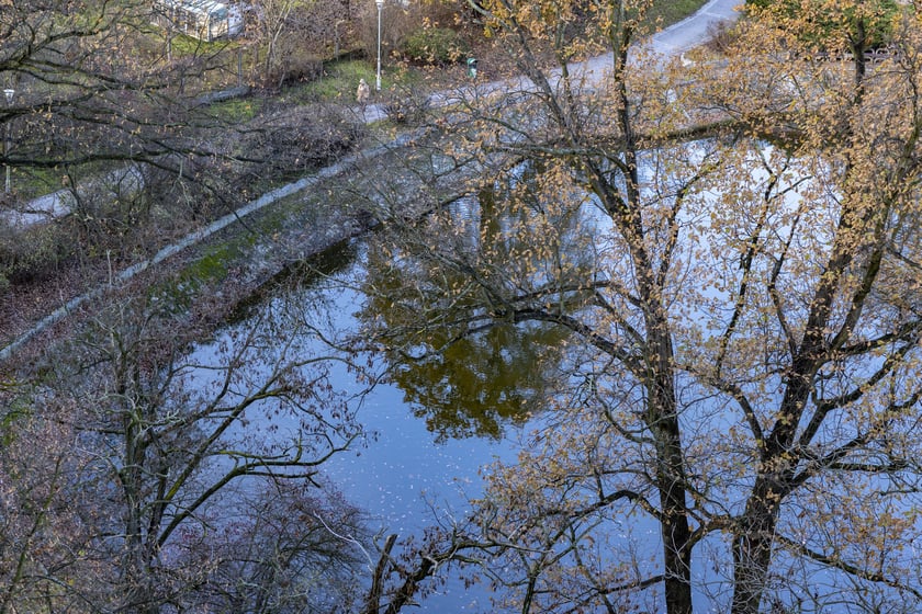 Staw przy ul. Kazimierskiej