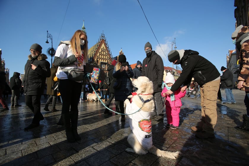 Finał WOŚP na wrocławskim Rynku. Wolontariusze