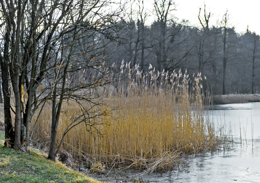 Tereny wodonośne