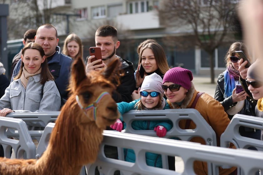 Jarmark Smaczny Weekend na placu Nowy Targ