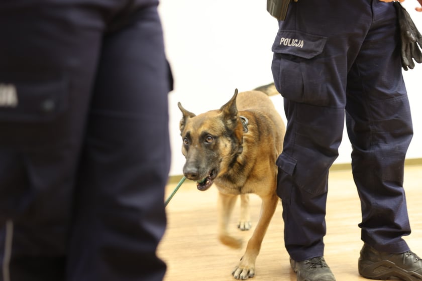 Policja od kuchni, czyli dni otwarte w KMP we Wrocławiu, 27 marca 2023 r.