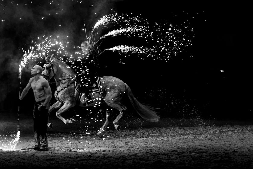 Zdjęcia Wiktora Rzeżuchowskiego, fotografa i  instruktora jazdy konnej