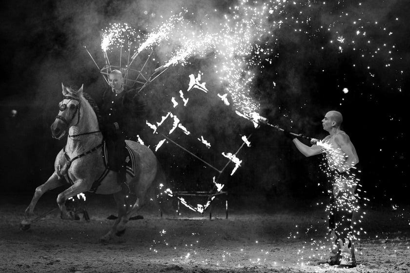 Zdjęcia Wiktora Rzeżuchowskiego, fotografa i  instruktora jazdy konnej