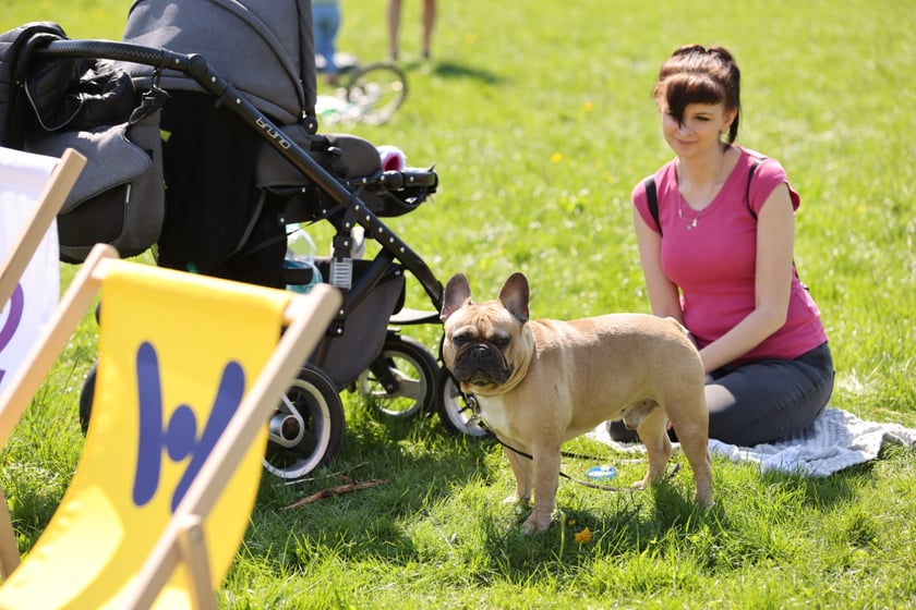 Piknik i gra terenowa na Popowicach zorganizowane przez Wrocławskie Centrum  Rozwoju Społecznego