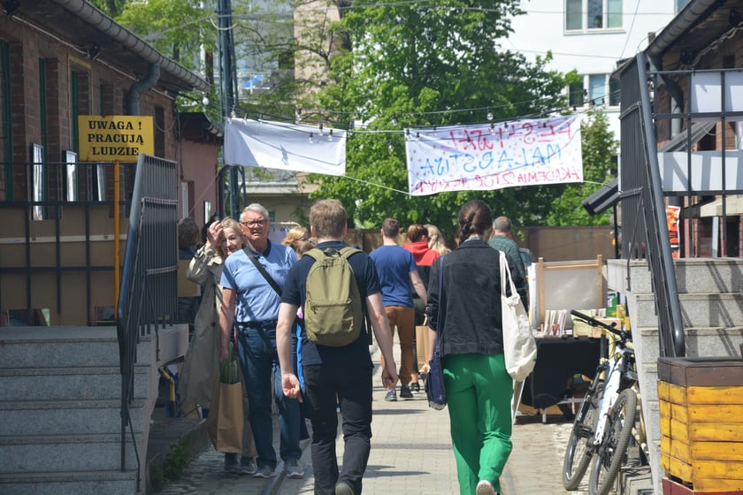 Festiwal Roślin i Festiwal Malarstwa w Czasoprzestrzeni