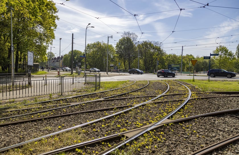 AWW x Paderewskiego i Mickiewicza, pierwszy tydzień maja 2023