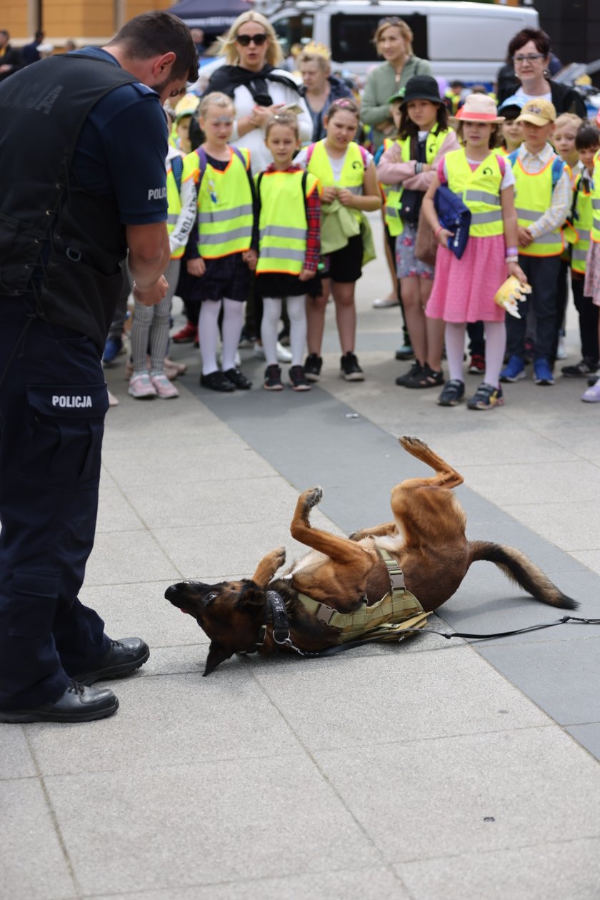 Dolnośląska Policja Dzieciom - impreza prewencyjna z okazji Dnia Dziecka
