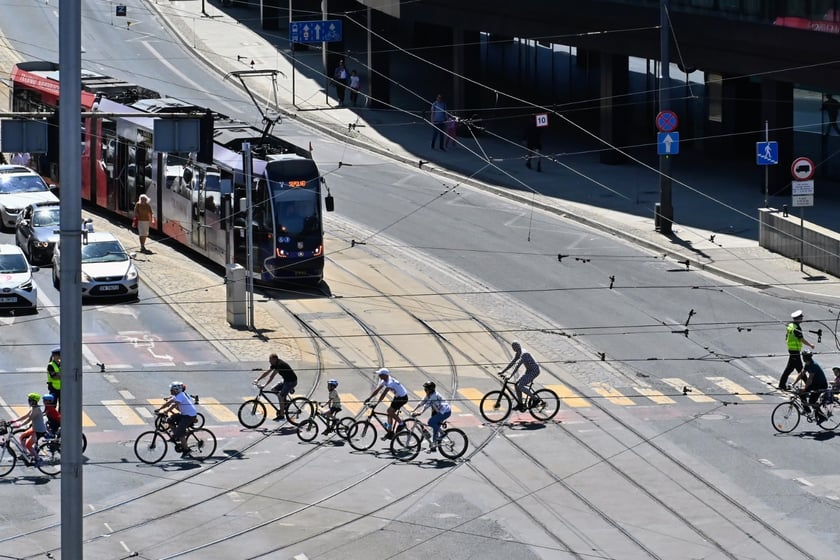 Wrocławskie Święto Rowerzysty. Przejazd przez miasto był kluczowym momentem fiesty, która zakończyła się piknikiem w parku Stanisława Tołpy.