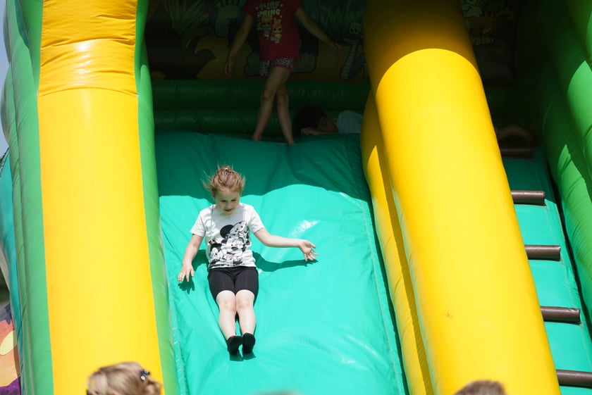 XI Piknik Olimpijski Wrocławia i Dolnego Śląska na Torze Wyścigów Konnych  - Partynice
