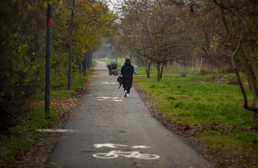 Na Promenadzie Krzyckiej