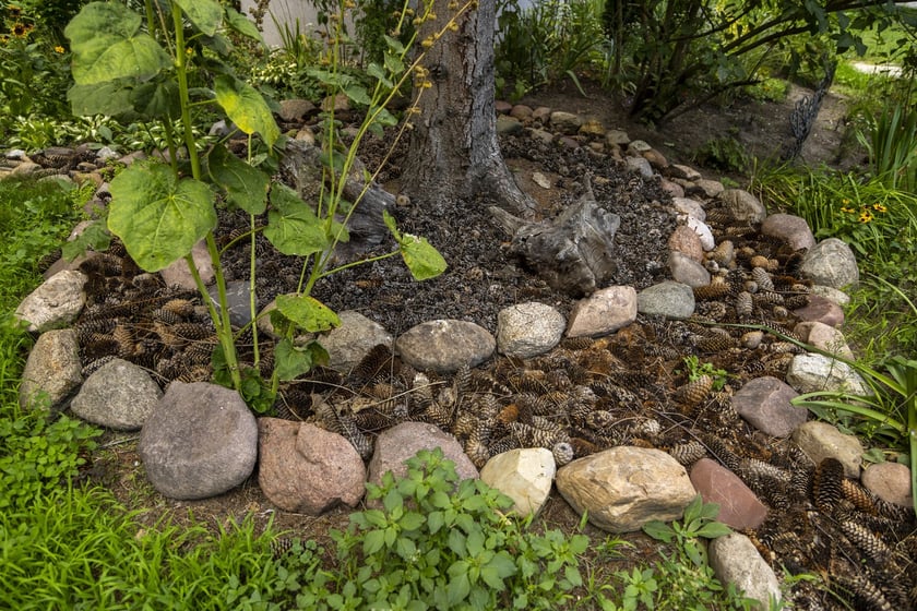 Ogródki na Gądowie Małym robią wrażenie!