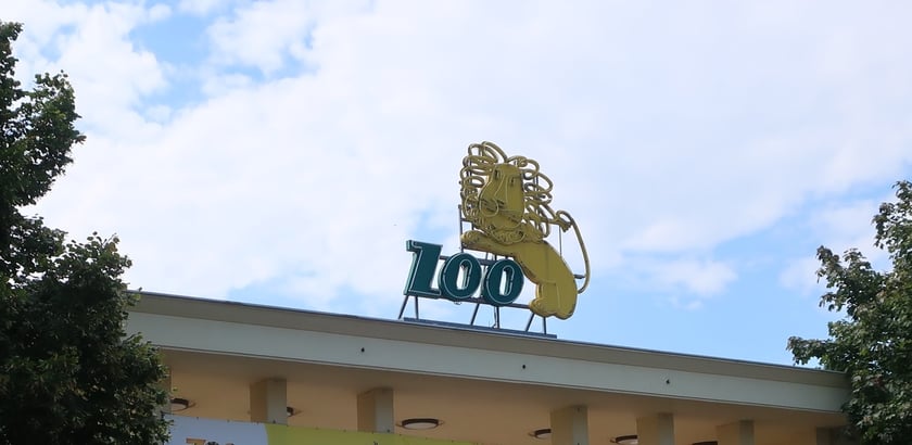 Neon z wizerunkiem lwa nad bramą główną powstał w latach 60. XX wieku. W roku 2015 zniszczyła go szalejące nad miastem burza. Lew powrócił na bramę Zoologu i nadal jest wzorem dla logo tej instytucji.