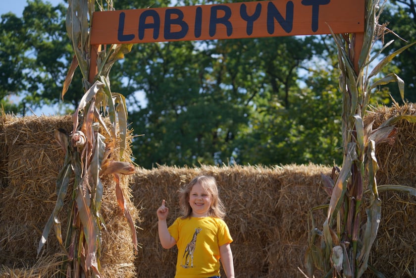 Dyniowa Farma we Wrocławiu