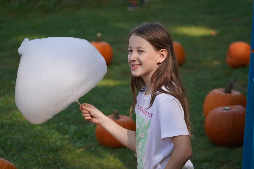 Dyniowa Farma we Wrocławiu