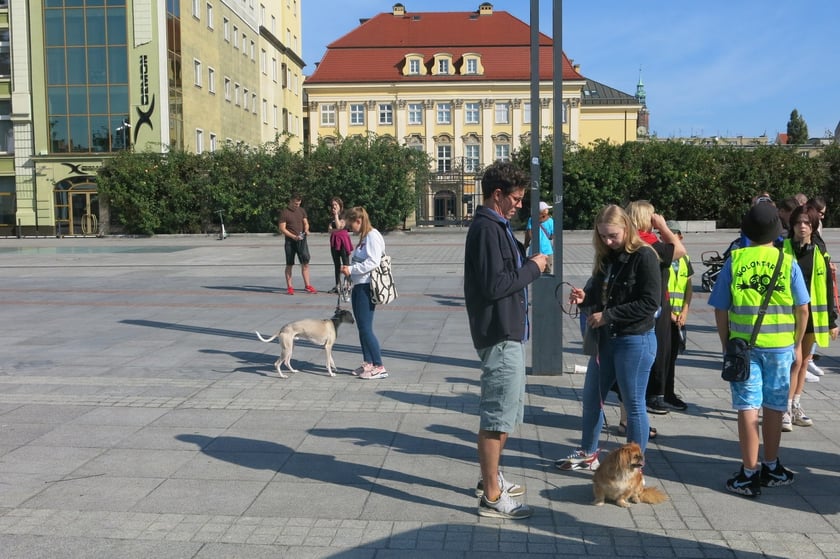 V Parada Ps&oacute;w Wrocławskich przeszła ulicami miasta na Wyspę Słodową&nbsp;