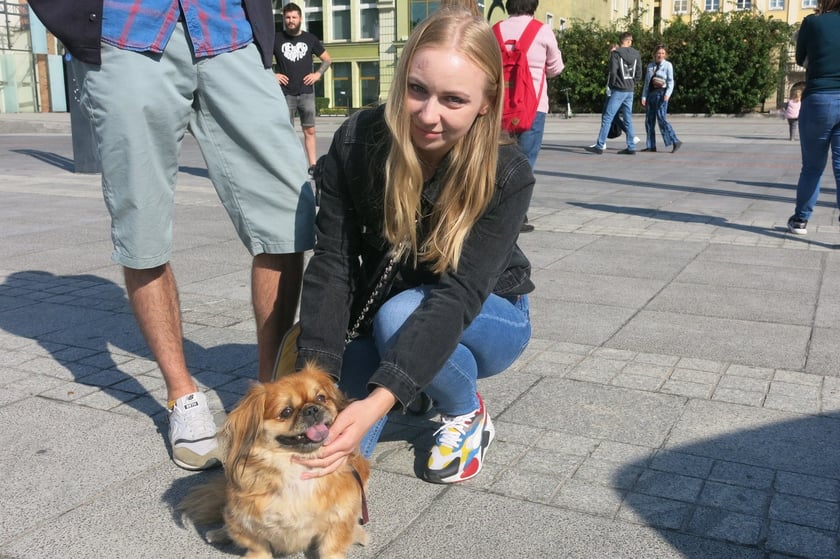 V Parada Ps&oacute;w Wrocławskich przeszła ulicami miasta na Wyspę Słodową&nbsp;