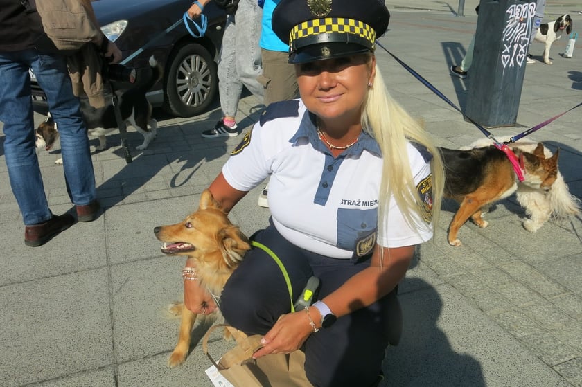 V Parada Ps&oacute;w Wrocławskich przeszła ulicami miasta na Wyspę Słodową&nbsp;