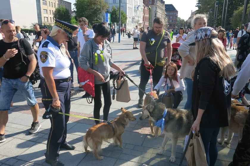 V Parada Ps&oacute;w Wrocławskich przeszła ulicami miasta na Wyspę Słodową&nbsp;