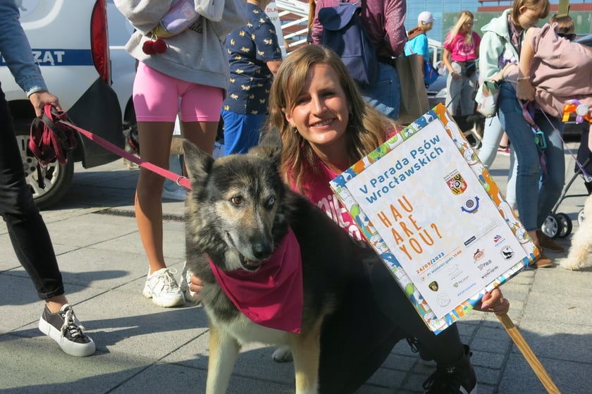 V Parada Ps&oacute;w Wrocławskich przeszła ulicami miasta na Wyspę Słodową&nbsp;