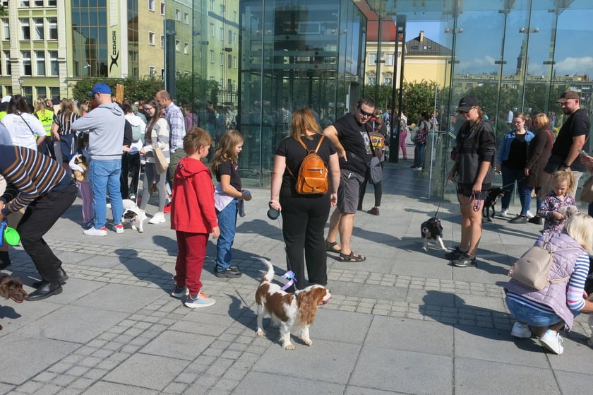 V Parada Ps&oacute;w Wrocławskich przeszła ulicami miasta na Wyspę Słodową&nbsp;