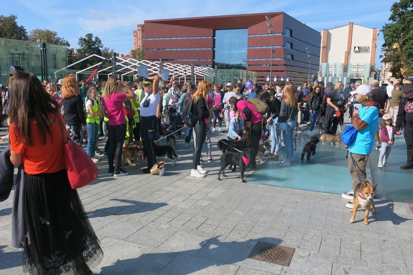 V Parada Ps&oacute;w Wrocławskich przeszła ulicami miasta na Wyspę Słodową&nbsp;