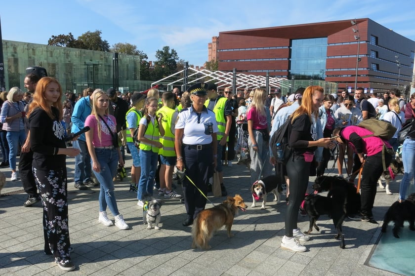 V Parada Ps&oacute;w Wrocławskich przeszła ulicami miasta na Wyspę Słodową&nbsp;