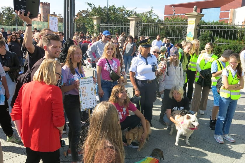 V Parada Ps&oacute;w Wrocławskich przeszła ulicami miasta na Wyspę Słodową&nbsp;
