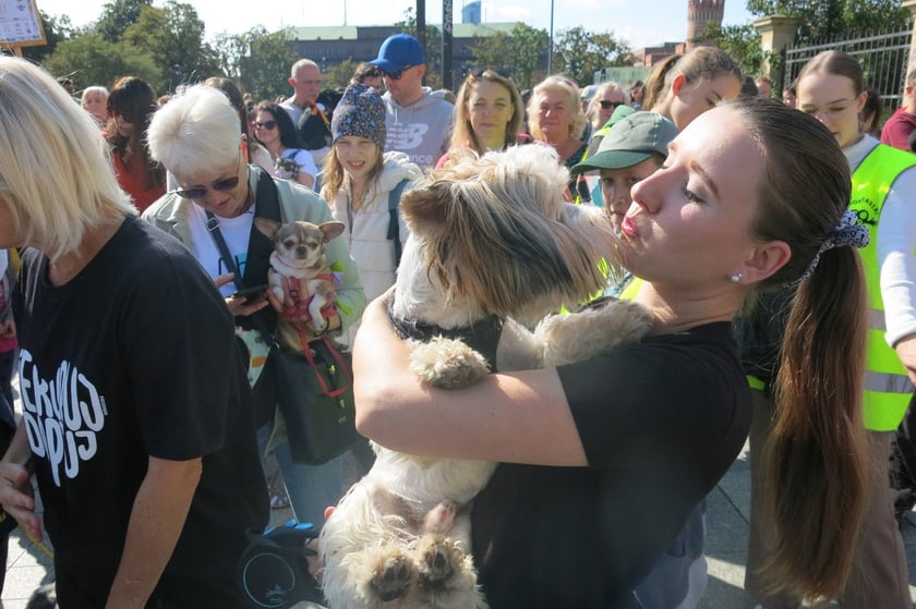 V Parada Ps&oacute;w Wrocławskich przeszła ulicami miasta na Wyspę Słodową&nbsp;