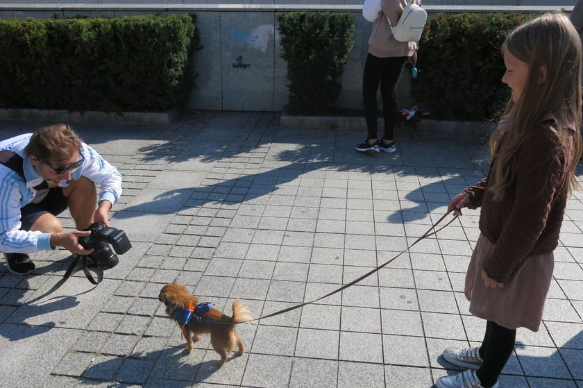 V Parada Ps&oacute;w Wrocławskich przeszła ulicami miasta na Wyspę Słodową&nbsp;