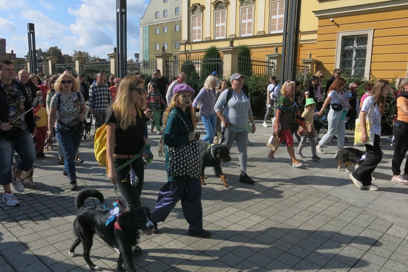 V Parada Ps&oacute;w Wrocławskich przeszła ulicami miasta na Wyspę Słodową&nbsp;