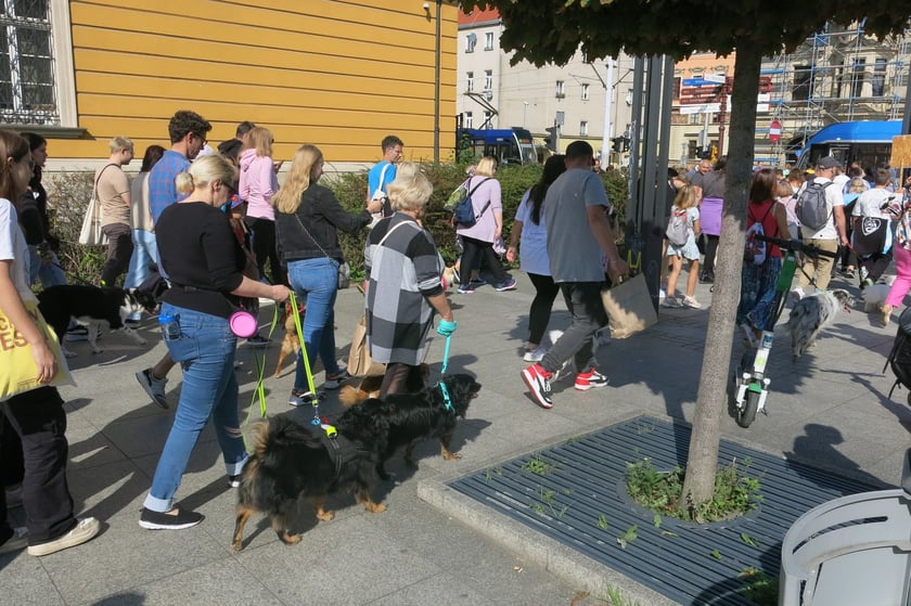 V Parada Ps&oacute;w Wrocławskich przeszła ulicami miasta na Wyspę Słodową&nbsp;
