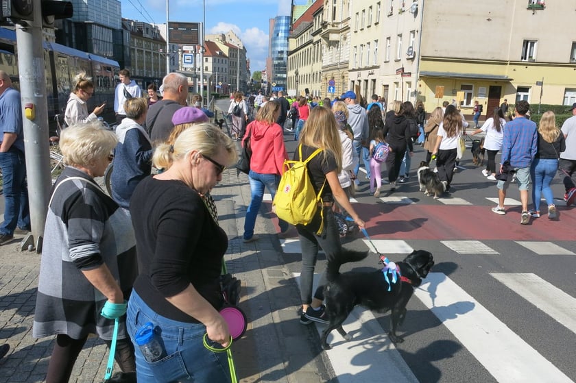 V Parada Ps&oacute;w Wrocławskich przeszła ulicami miasta na Wyspę Słodową&nbsp;