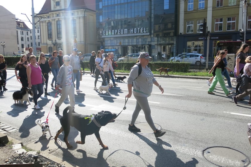 V Parada Ps&oacute;w Wrocławskich przeszła ulicami miasta na Wyspę Słodową&nbsp;