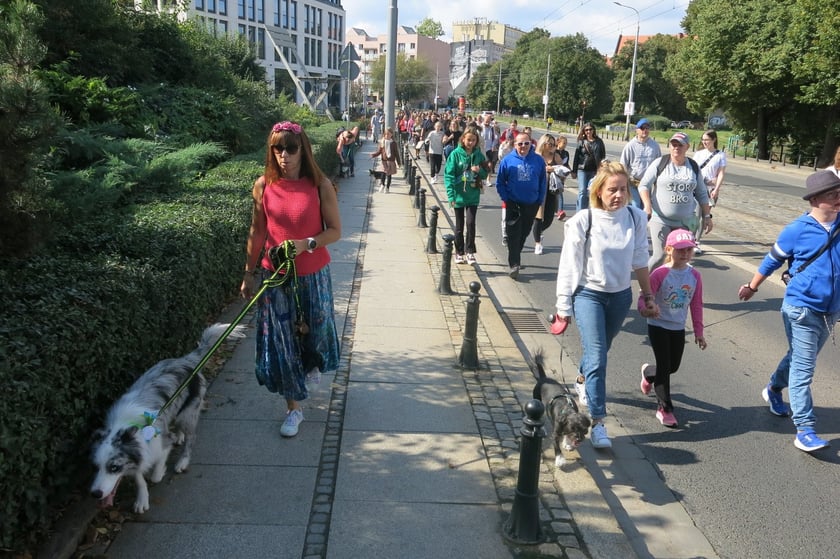 V Parada Ps&oacute;w Wrocławskich przeszła ulicami miasta na Wyspę Słodową&nbsp;