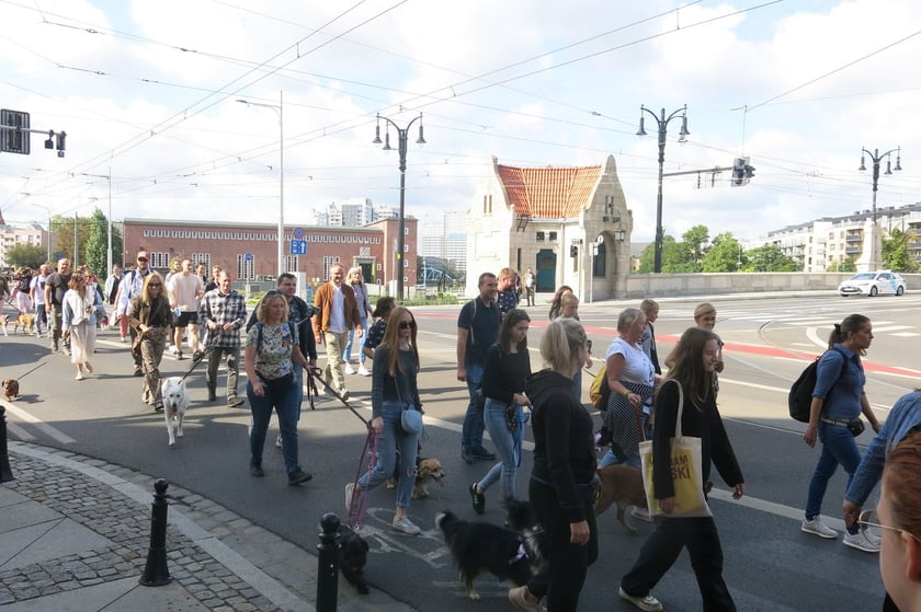 V Parada Ps&oacute;w Wrocławskich przeszła ulicami miasta na Wyspę Słodową&nbsp;