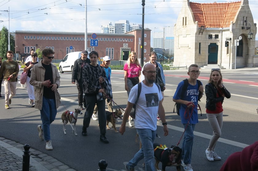 V Parada Ps&oacute;w Wrocławskich przeszła ulicami miasta na Wyspę Słodową&nbsp;