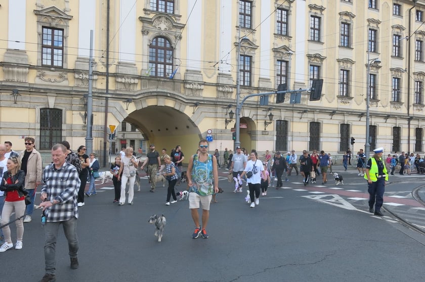 V Parada Ps&oacute;w Wrocławskich przeszła ulicami miasta na Wyspę Słodową&nbsp;
