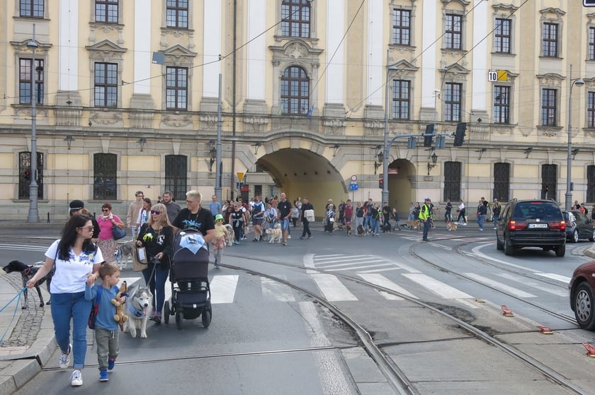 V Parada Ps&oacute;w Wrocławskich przeszła ulicami miasta na Wyspę Słodową&nbsp;