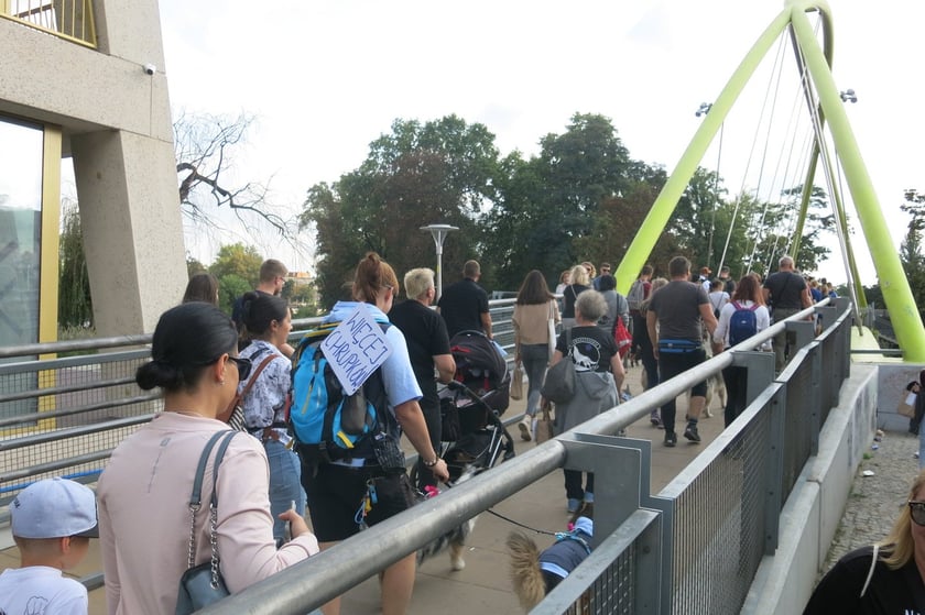 V Parada Ps&oacute;w Wrocławskich przeszła ulicami miasta na Wyspę Słodową&nbsp;