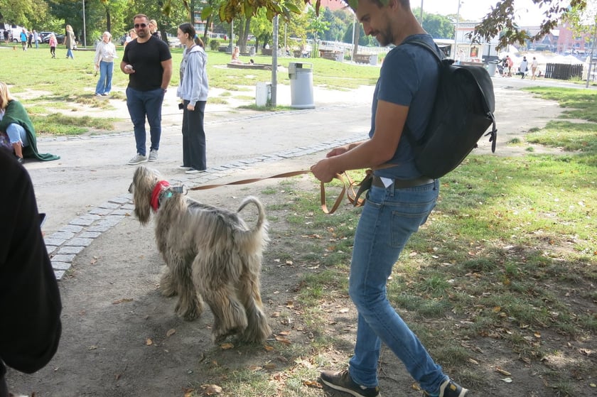 V Parada Ps&oacute;w Wrocławskich przeszła ulicami miasta na Wyspę Słodową&nbsp;