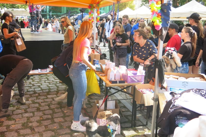 V Parada Ps&oacute;w Wrocławskich przeszła ulicami miasta na Wyspę Słodową&nbsp;