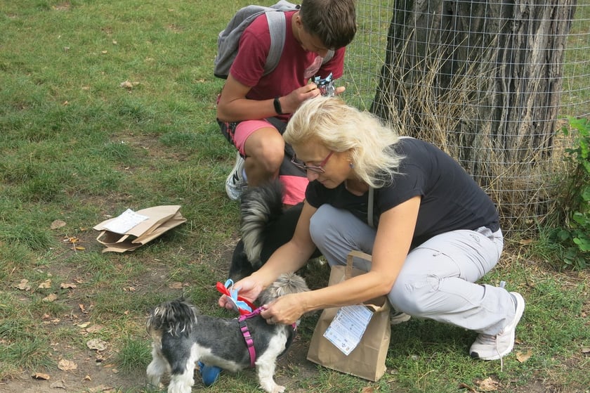 V Parada Ps&oacute;w Wrocławskich przeszła ulicami miasta na Wyspę Słodową&nbsp;