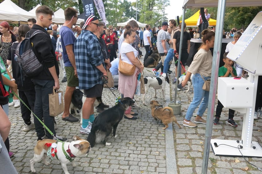 V Parada Ps&oacute;w Wrocławskich przeszła ulicami miasta na Wyspę Słodową&nbsp;