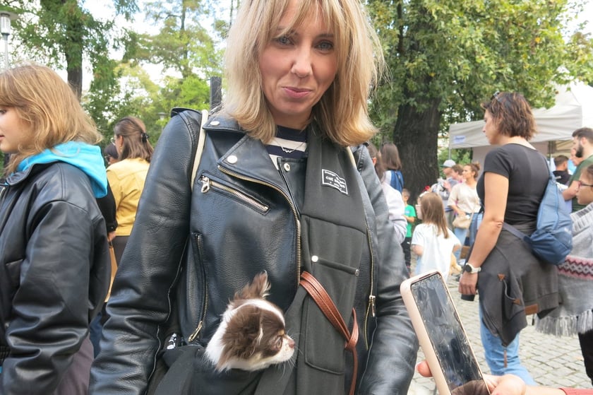 V Parada Ps&oacute;w Wrocławskich przeszła ulicami miasta na Wyspę Słodową&nbsp;