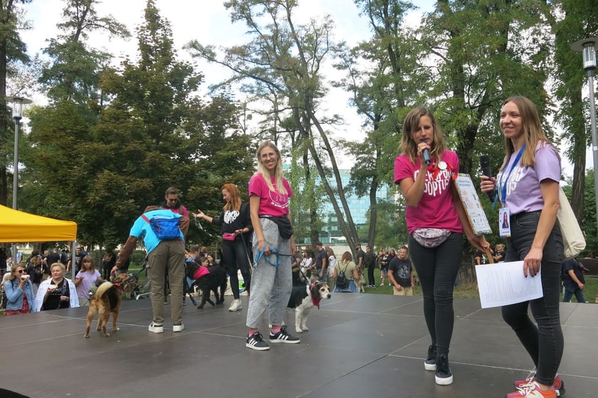 V Parada Ps&oacute;w Wrocławskich przeszła ulicami miasta na Wyspę Słodową&nbsp;